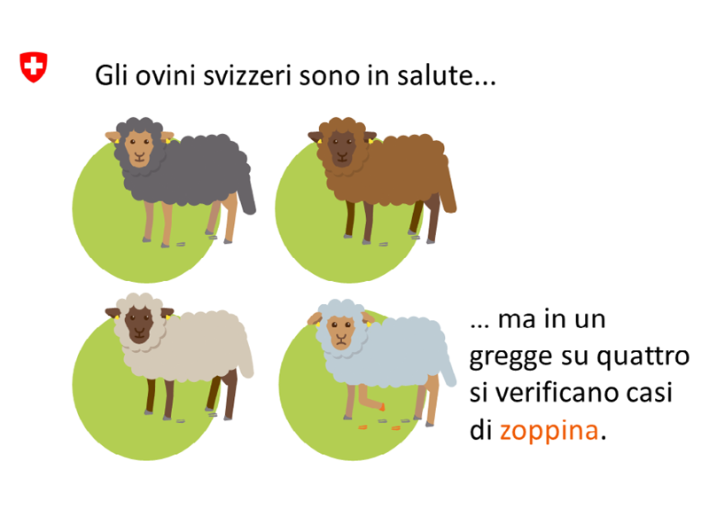 Zoppina grafica 2